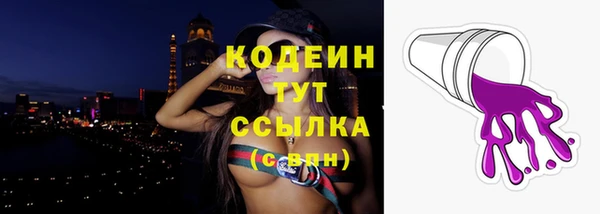 спайс Рославль