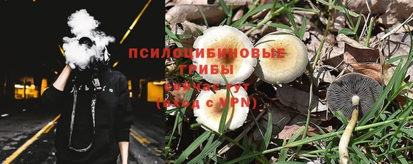 дурь Россошь