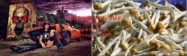 кокс Ростов
